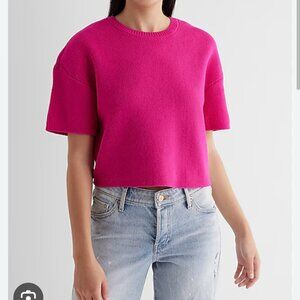 Express Crew Neck Short Sleeve Boxy Sweater